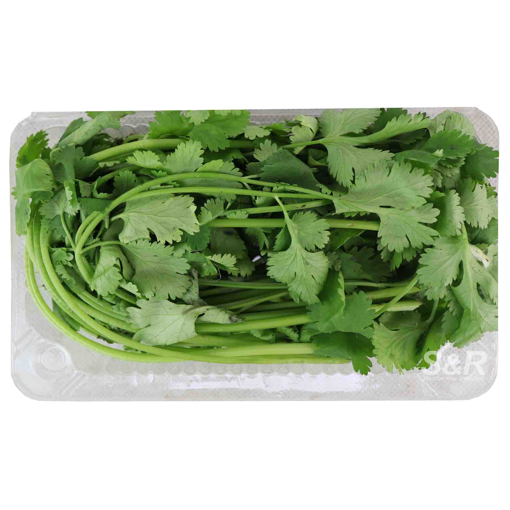 S&R Coriander approx. 40g